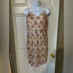 Great Gatsby Style Sequin Fringe dress